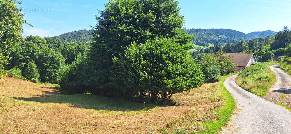 Maison à BASSE-SUR-LE-RUPT