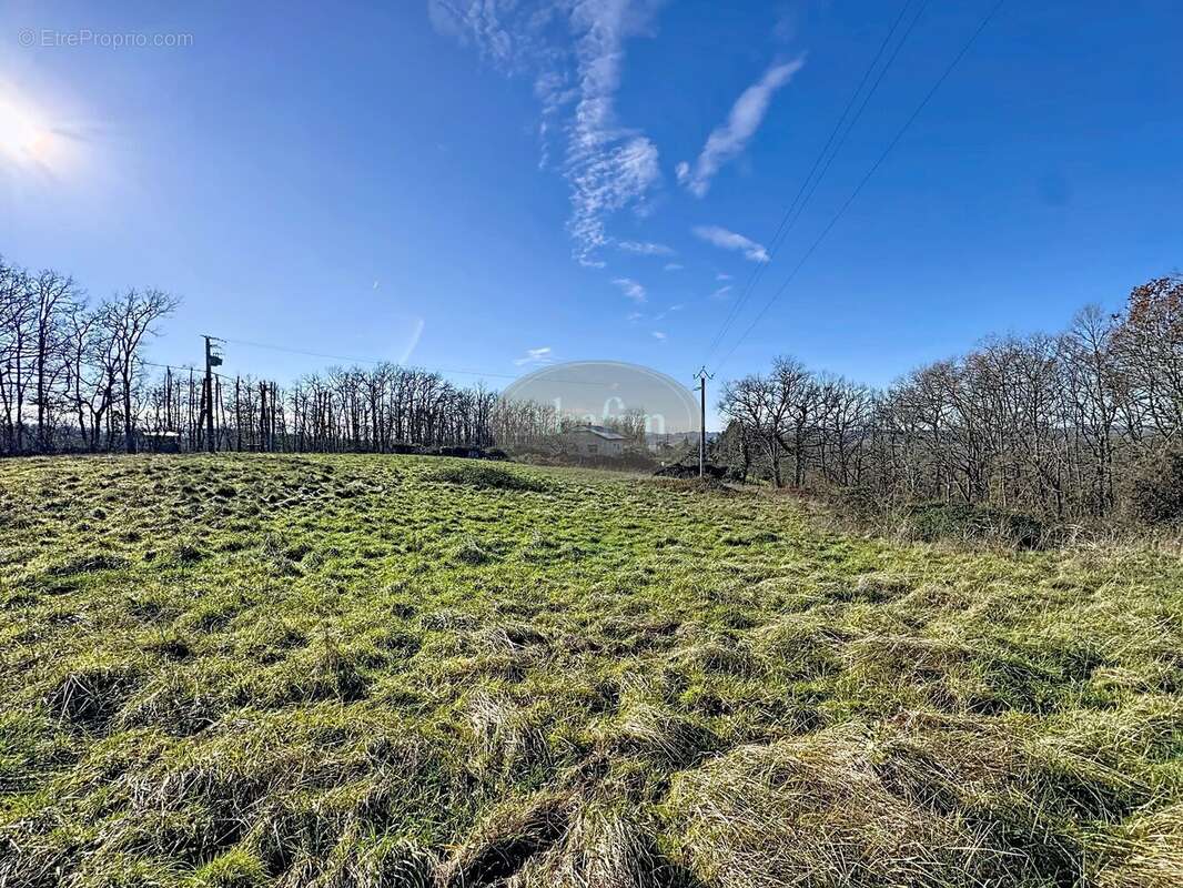 Terrain à VILLECOMTAL-SUR-ARROS