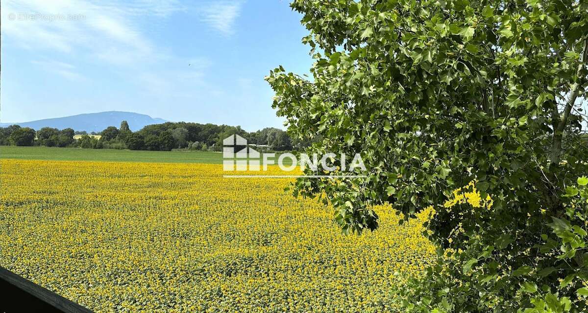 Appartement à VEIGY-FONCENEX