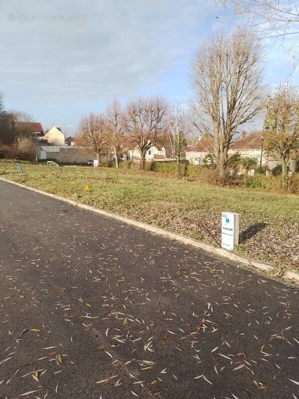 Terrain à SAINTINES