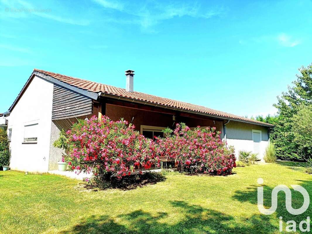 Photo 3 - Maison à MARSSAC-SUR-TARN