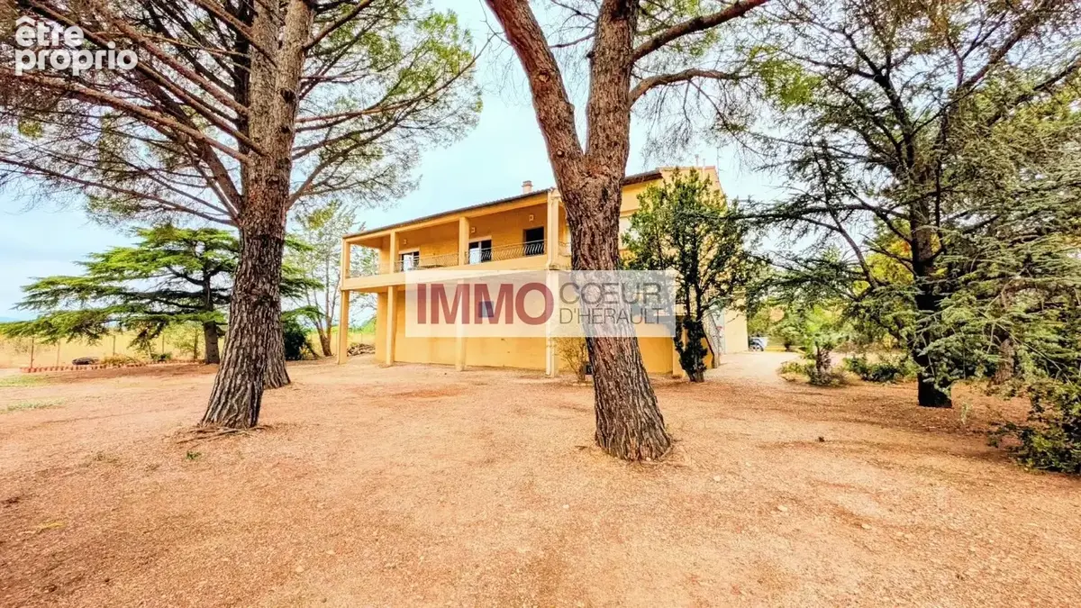 Villa de style vigneronne  218 m²  terrain de 3 980 m²  saint-andré-de-sangonis - photo 19