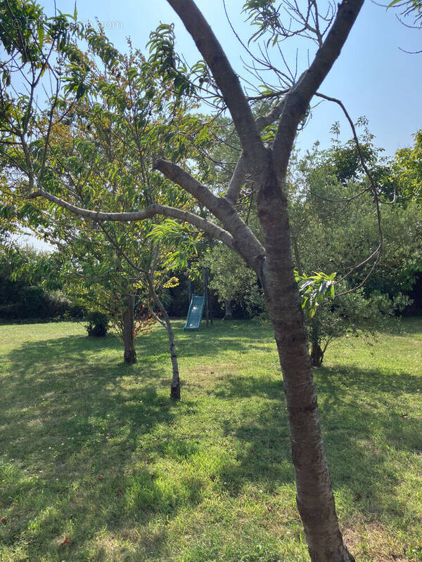 Maison à SAINT-ALBAN