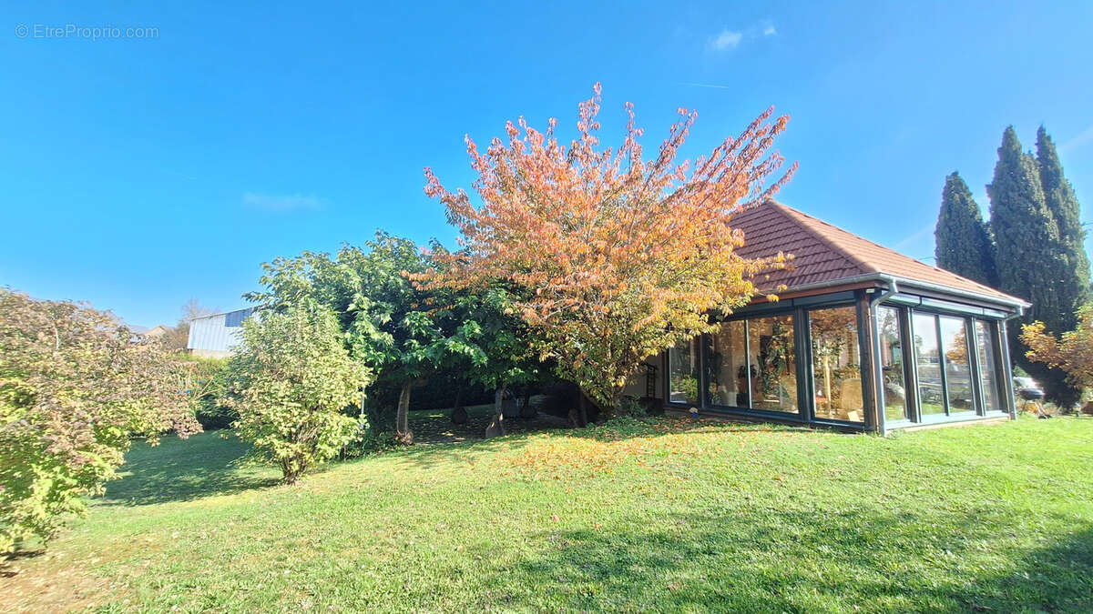 Maison à ZAESSINGUE