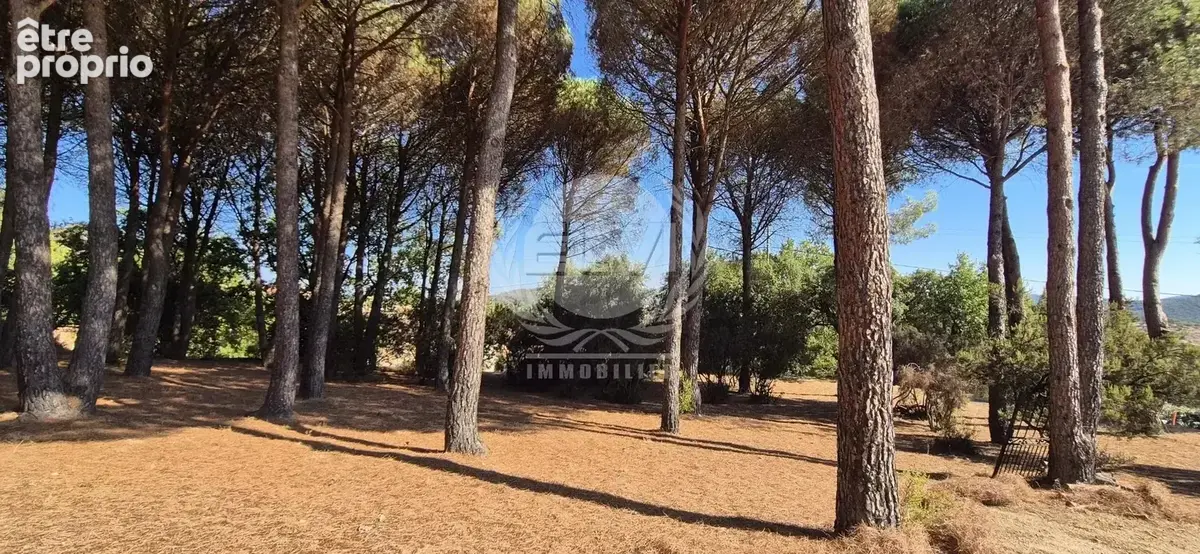 Terrain à PLAN-DE-LA-TOUR