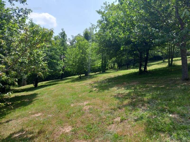 Maison à VILLENEUVE