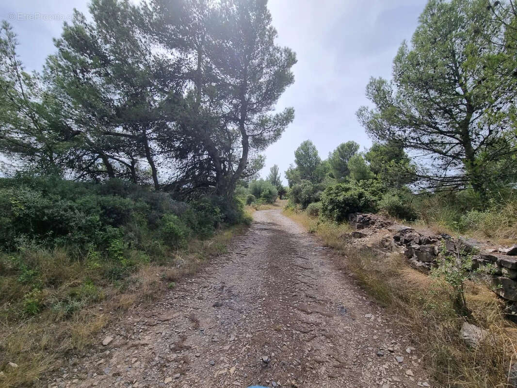Terrain à POUZOLS-MINERVOIS