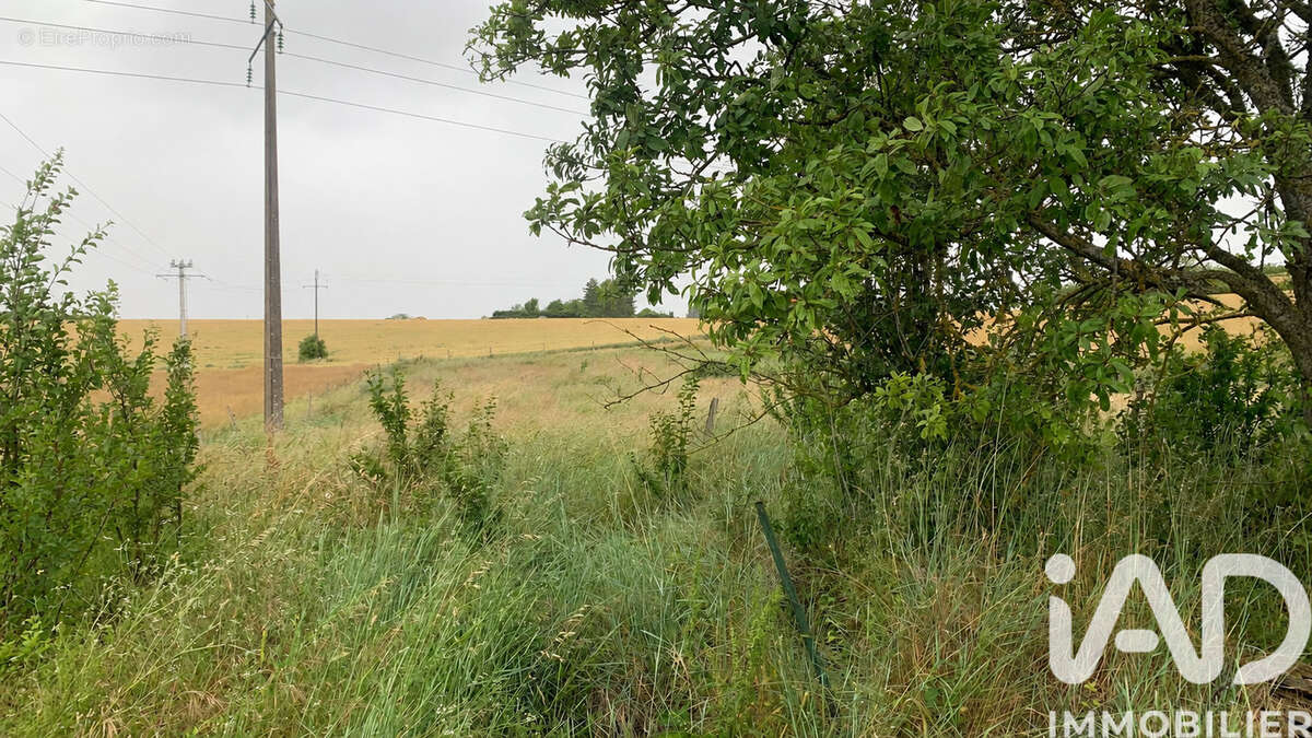 Terrain 4271 m² à Sainte-Maure-De-Touraine  - photo 4