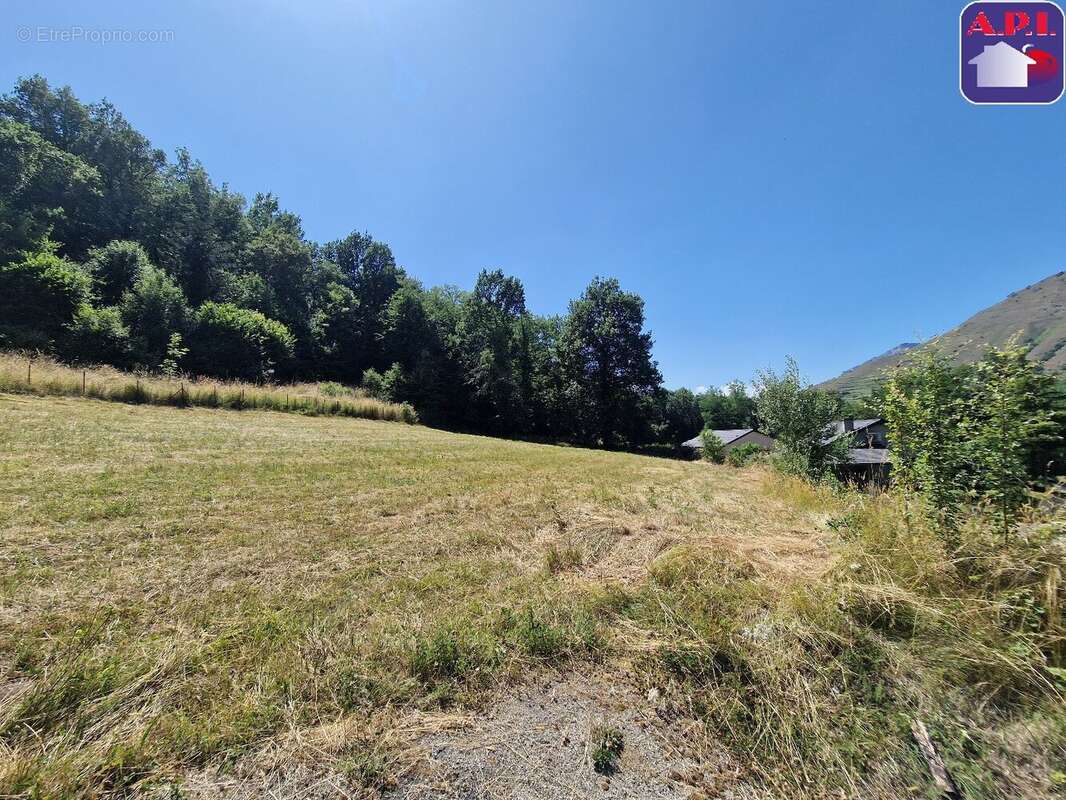 Terrain à LES CABANNES