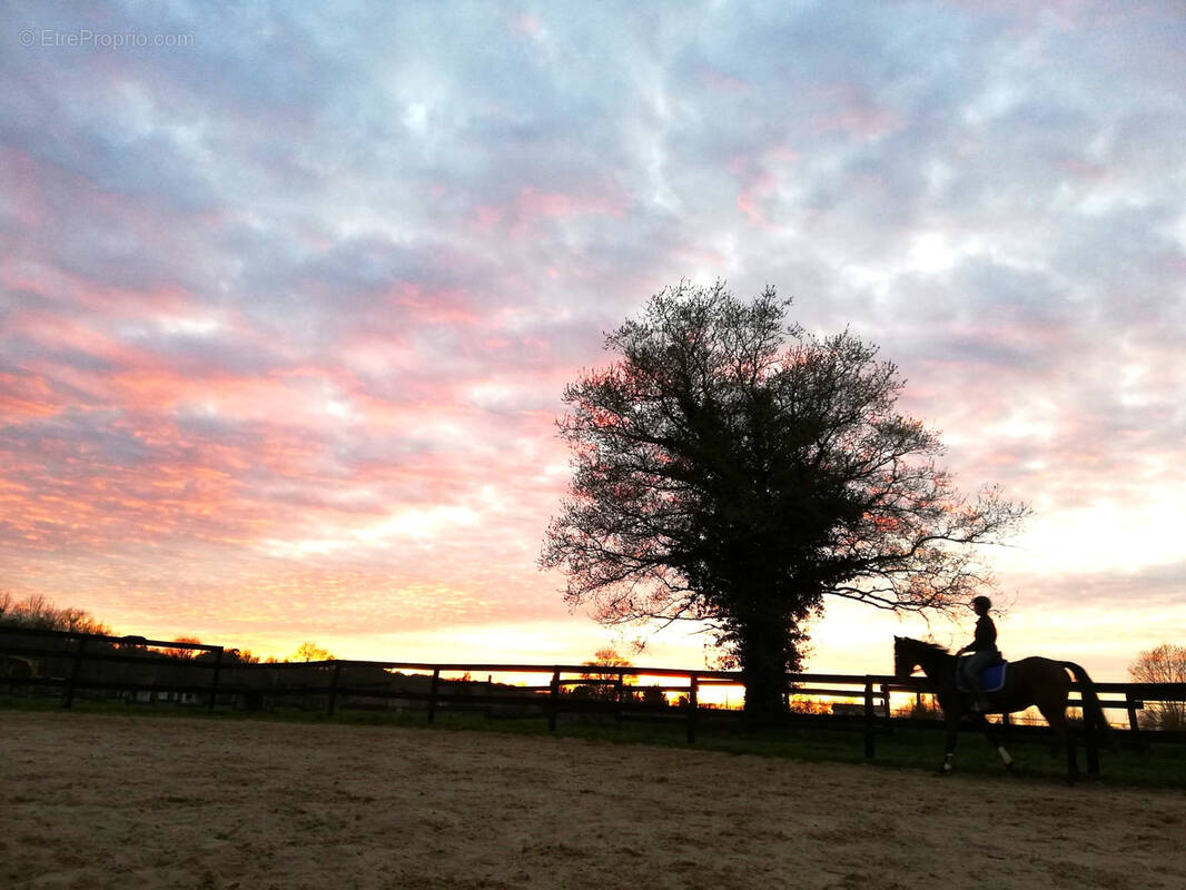 Maison à GRENADE-SUR-L&#039;ADOUR