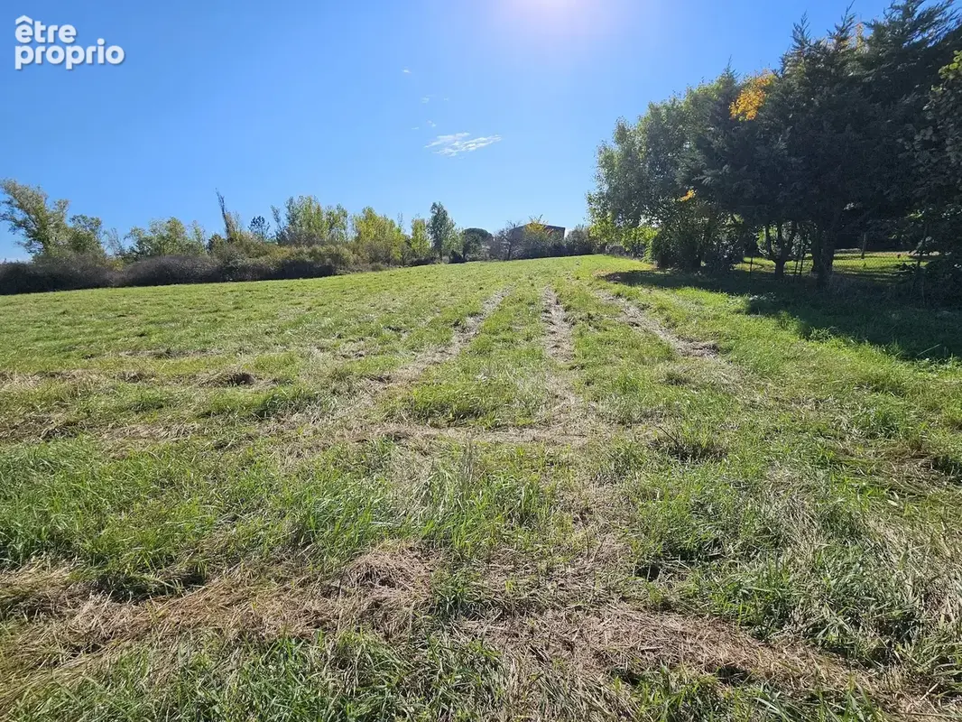 Seysses terrain 3270 m2 - photo 10