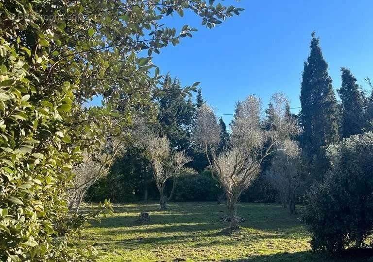 Maison à FONTVIEILLE