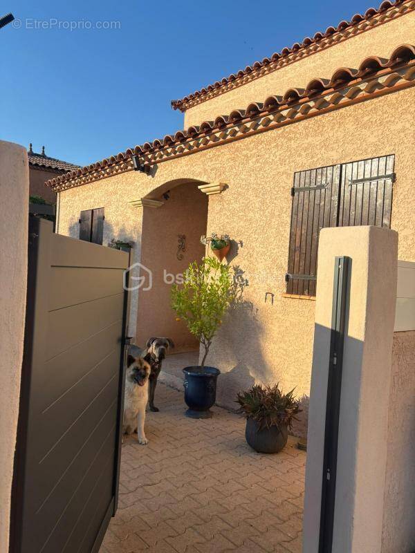 Maison à FRONTIGNAN