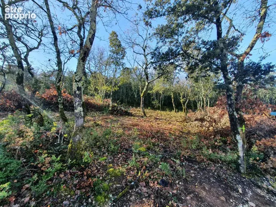 Terrain à LABASTIDE-DE-VIRAC