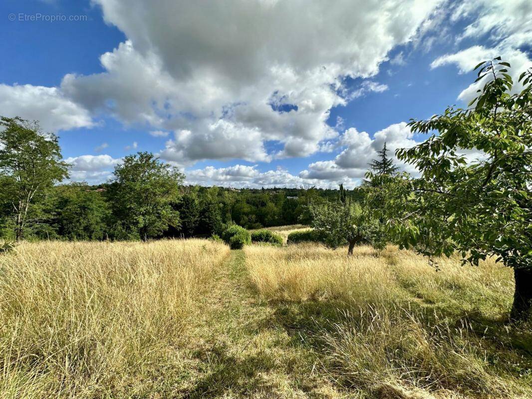 Terrain à VIGOULET-AUZIL