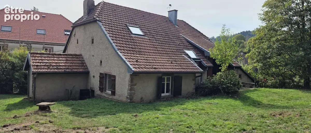 Plaine, ancienne ferme de 242 m2 sur 37 ares de terrain sans vis-à-vis, havre de paix absolu - photo 3