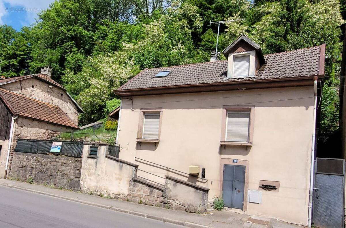 Maison à LA PETITE-RAON