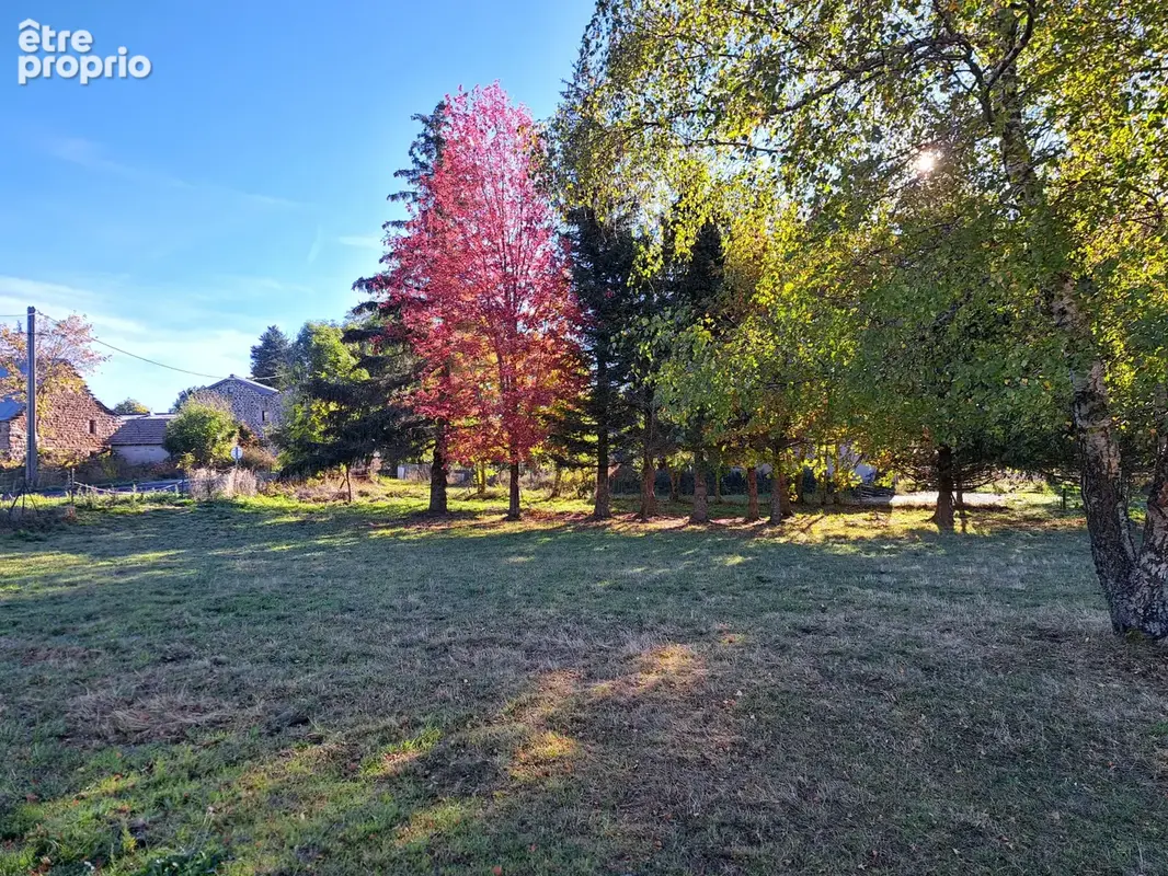 Ancienne petite chaumière au toit de lauzes sur 6000 m2 de terrain - photo 25