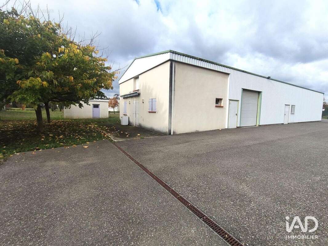 Photo 3 - Commerce à CASTELCULIER