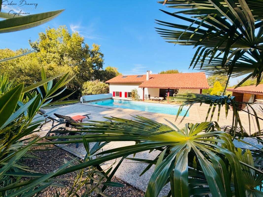 En EXCLUSIVITÉ - Maison Contemporaine avec piscine à ASCAIN - photo 2