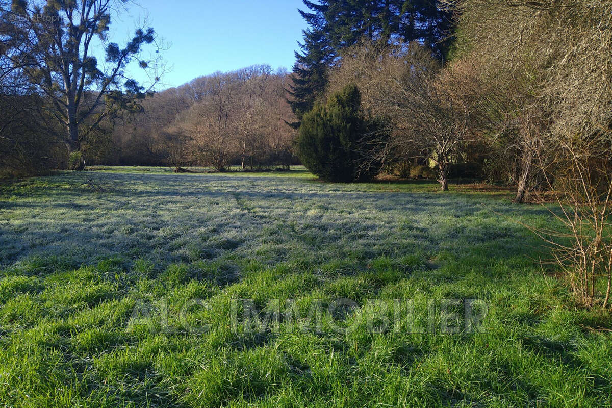 Terrain à SAINT-LEONARD-DES-BOIS