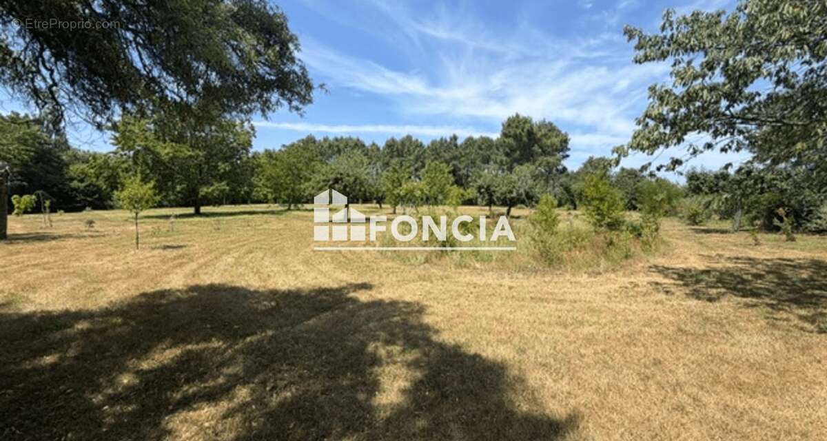 À vendre – Corps de ferme de caractère sur plus d’un hectare arboré - photo 15