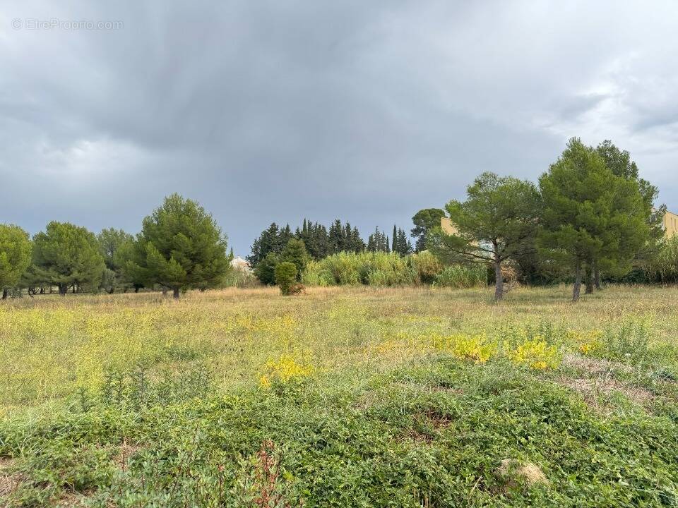 Terrain à SAINT-PARGOIRE