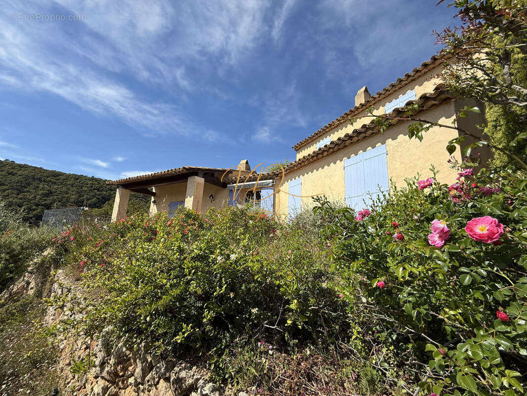 Vue mer exceptionnelle - photo 2
