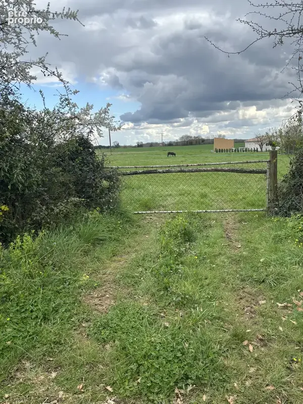 Terrain à CLOUE