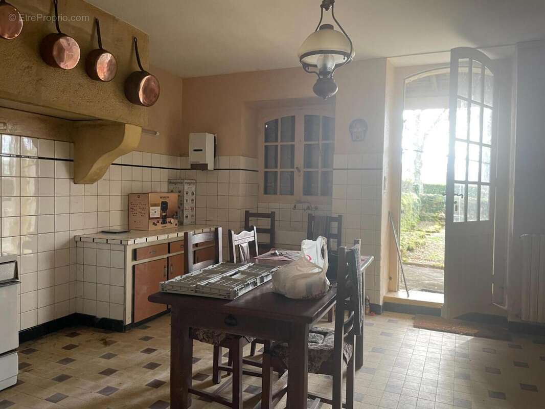 IMG_5050.jpeg - Maison à SAINT-AVIT-SENIEUR