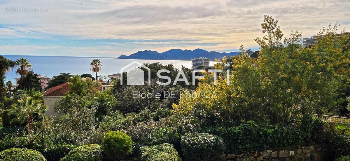 Photo 3 - Appartement à CANNES