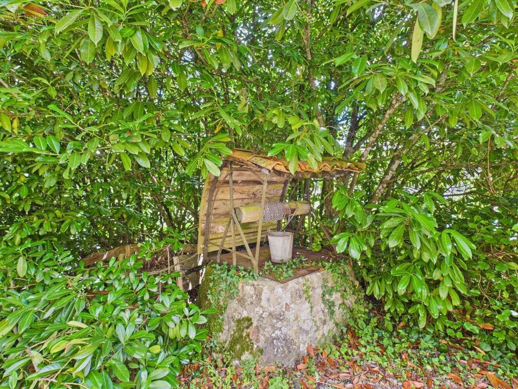 Maison en pierre  avec maison d'amis indépendante dans un hameau paisible - photo 20