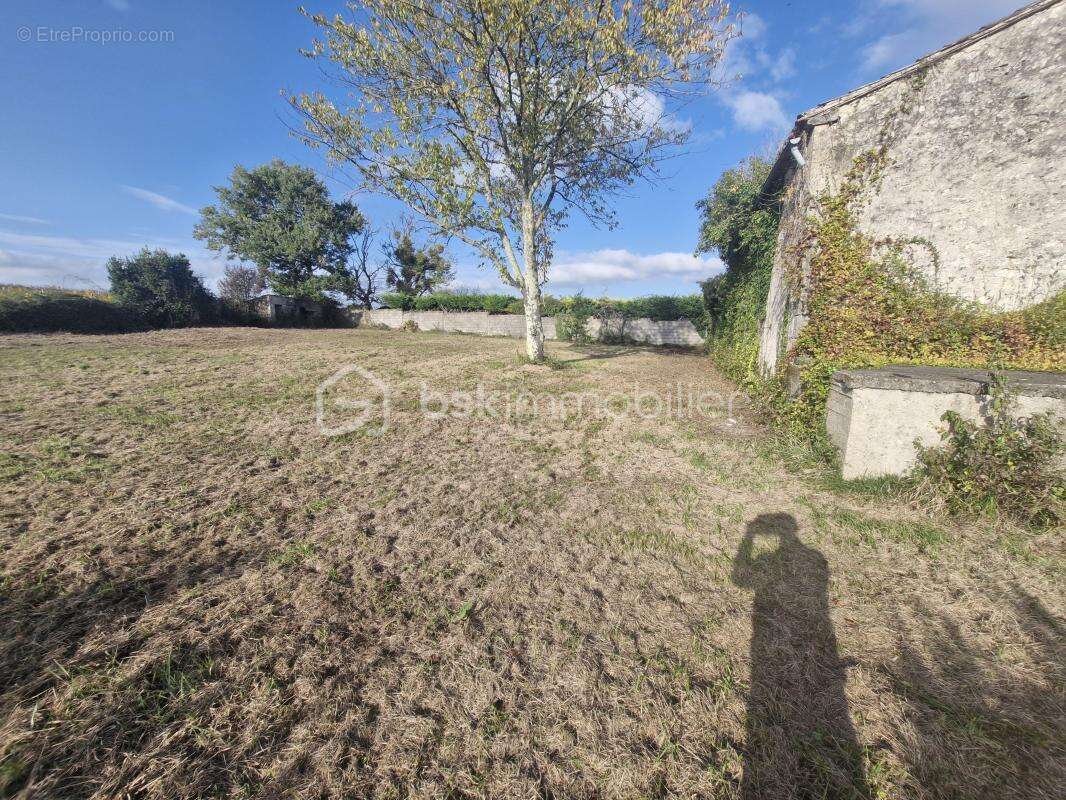 Maison à SAINT-QUENTIN-DE-CAPLONG