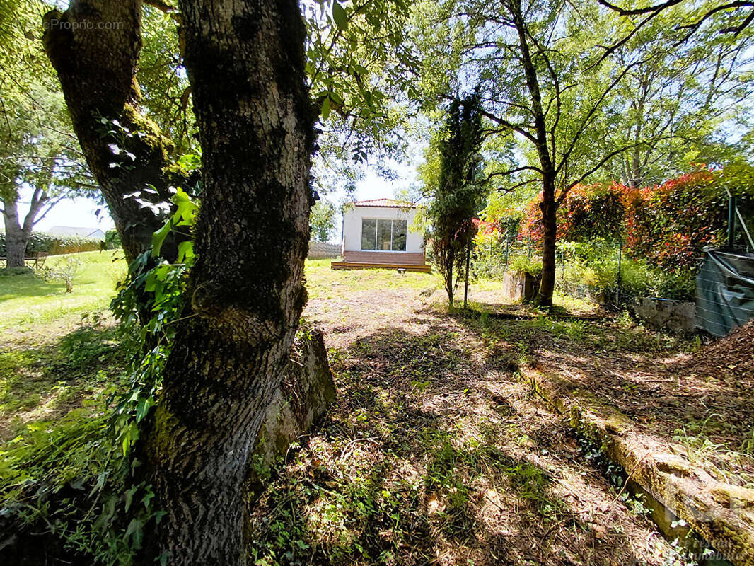 Maison à THOUARE-SUR-LOIRE