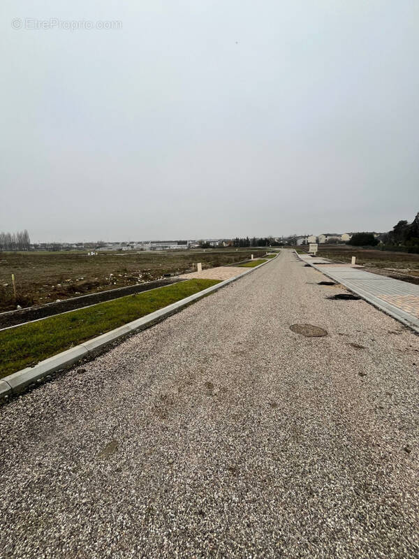 Terrain à VOLSTROFF