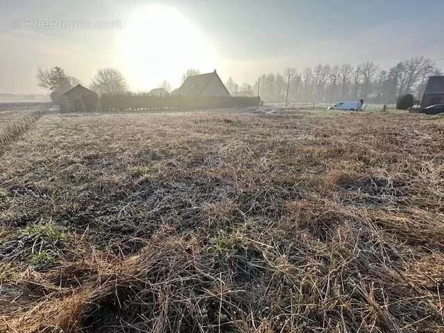 Terrain à PONTHOILE