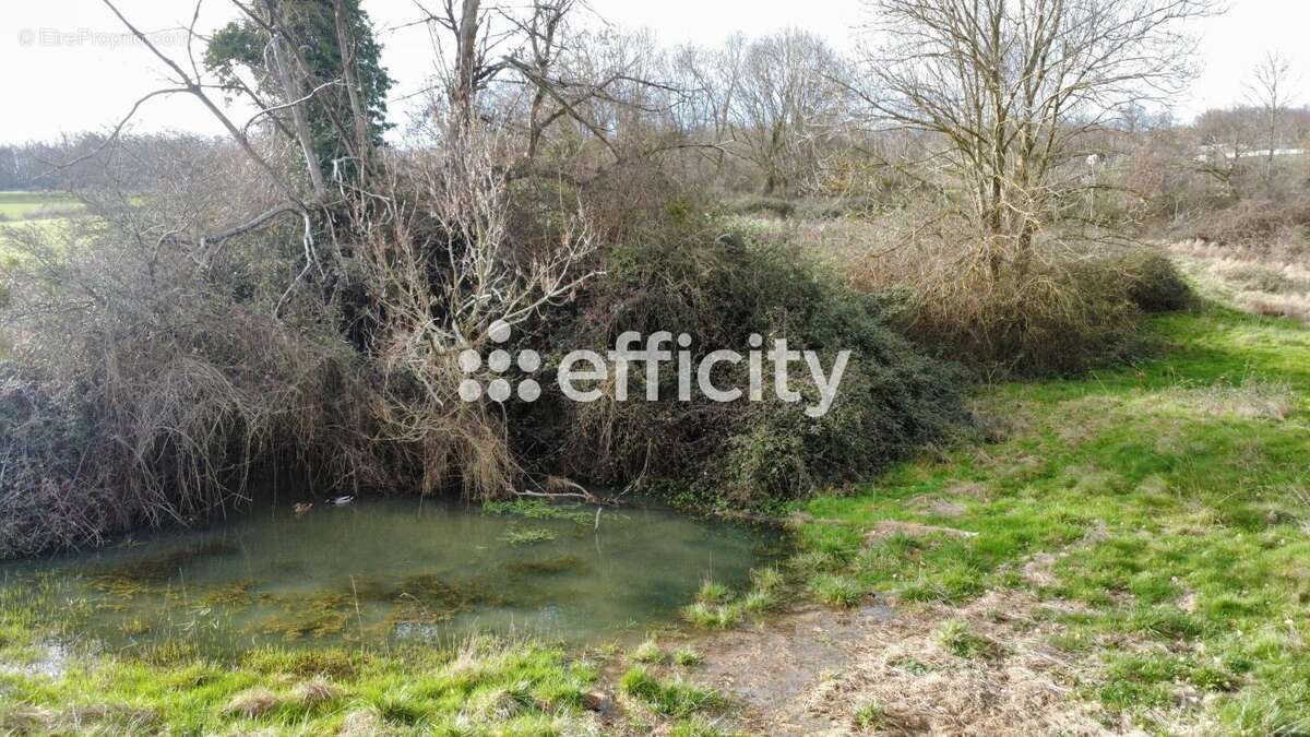 Terrain à LA MOTTE-DE-GALAURE