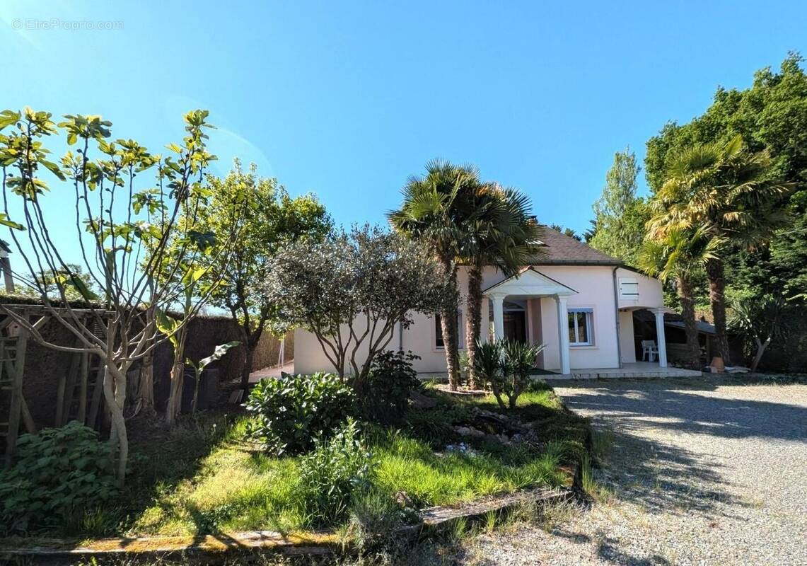 Photo 1 - Maison à PELLOUAILLES-LES-VIGNES