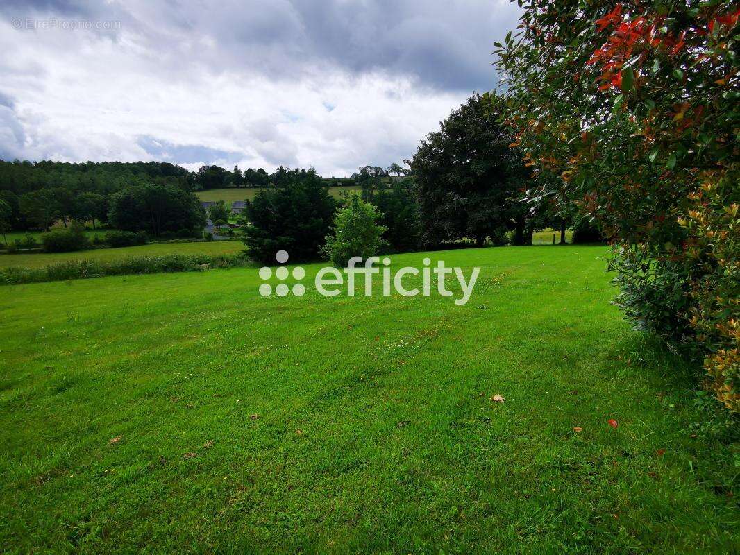 Maison en pierres - photo 38