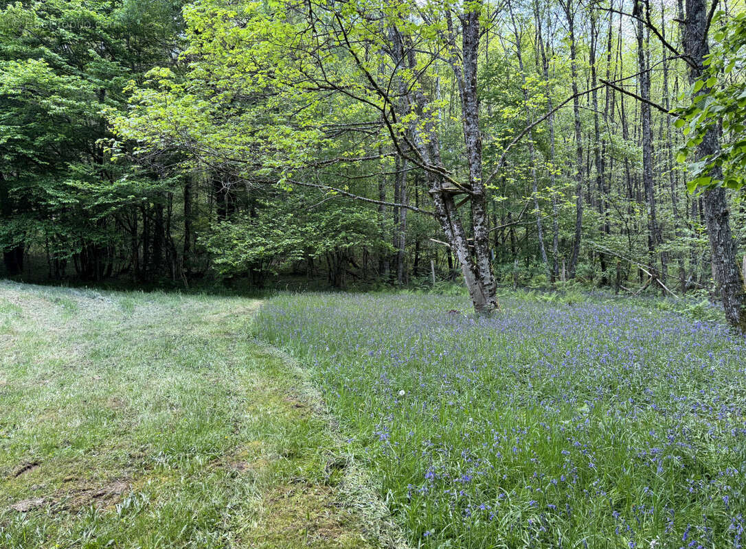 Terrain à LORMES
