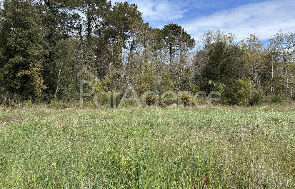 Terrain à LES MATHES