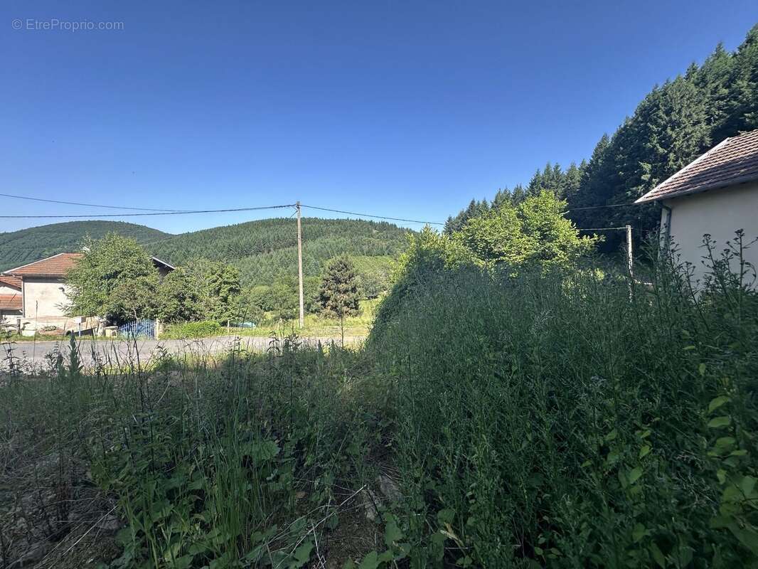 Terrain à SAINT-DIDIER-SUR-BEAUJEU