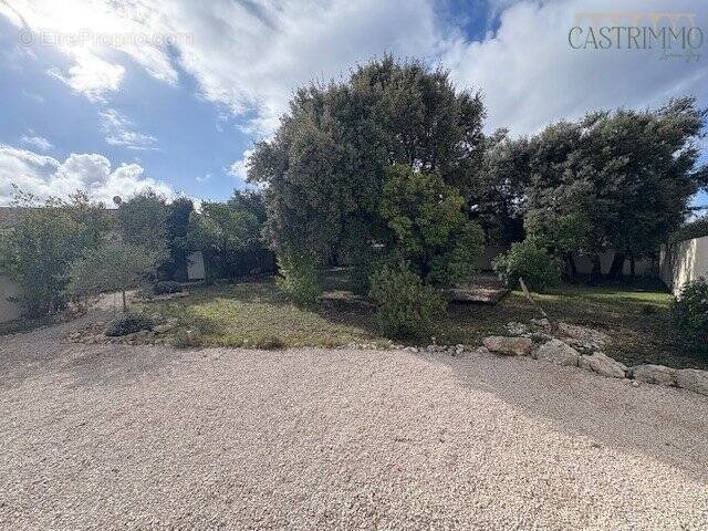 Terrain à SUSSARGUES