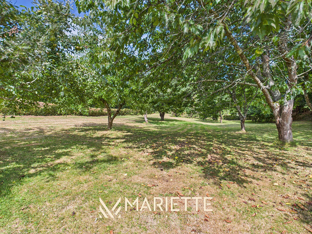 Maison à LA FORET-FOUESNANT