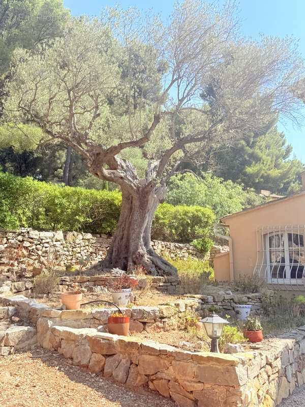 Maison à SANARY-SUR-MER