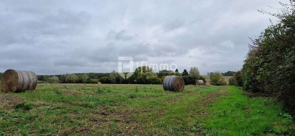 Terrain à COUILLY-PONT-AUX-DAMES