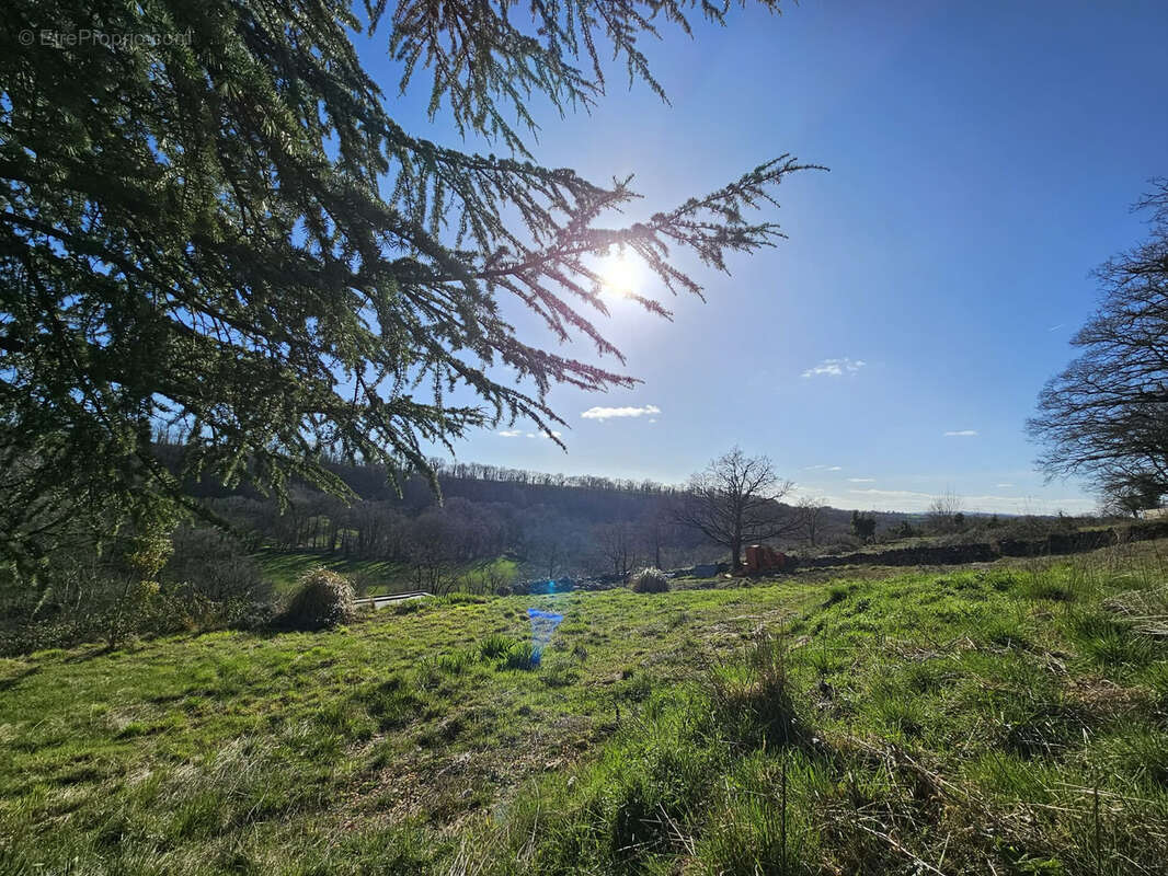 Terrain constructible de 3000 m2 avec très belle vue dégagée plein SUD secteur prisé d'Onet l'Eglise - photo 4