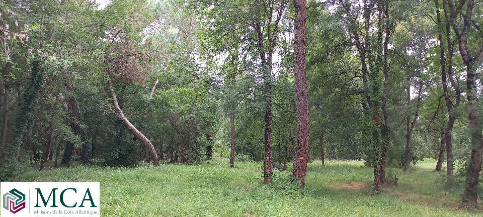 Terrain à MENESPLET