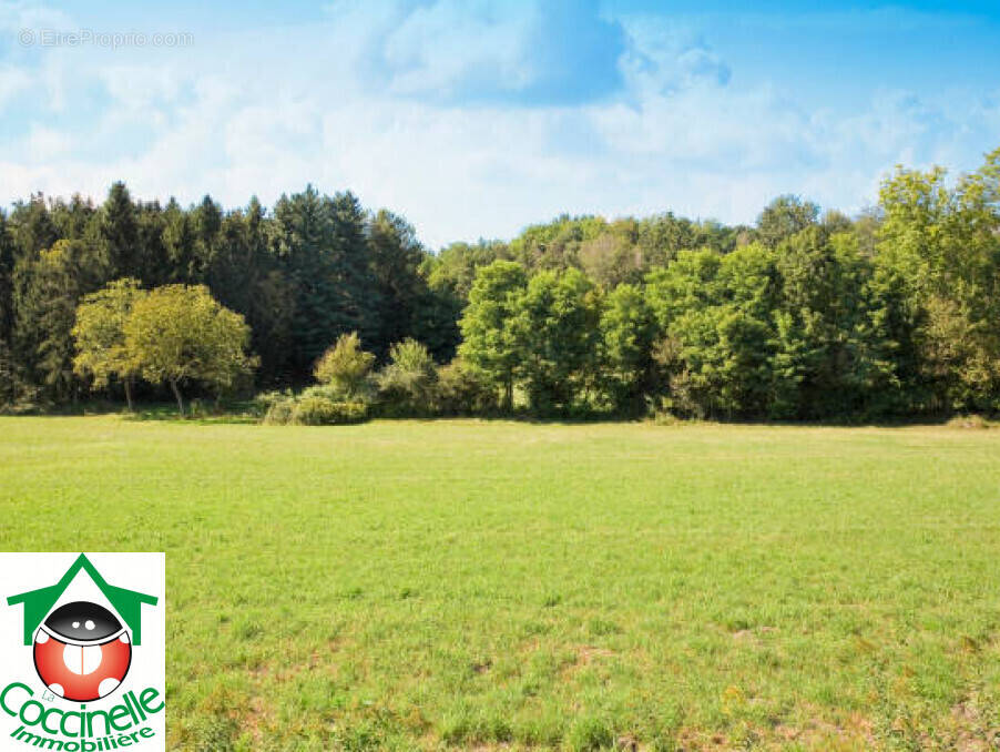 Terrain à BISCARROSSE