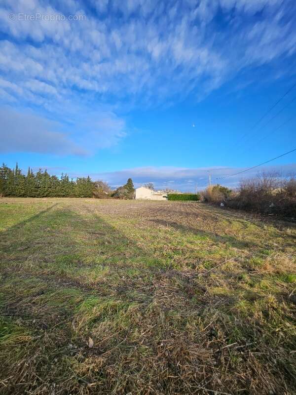 Terrain 403 m² à Senas  - photo 3